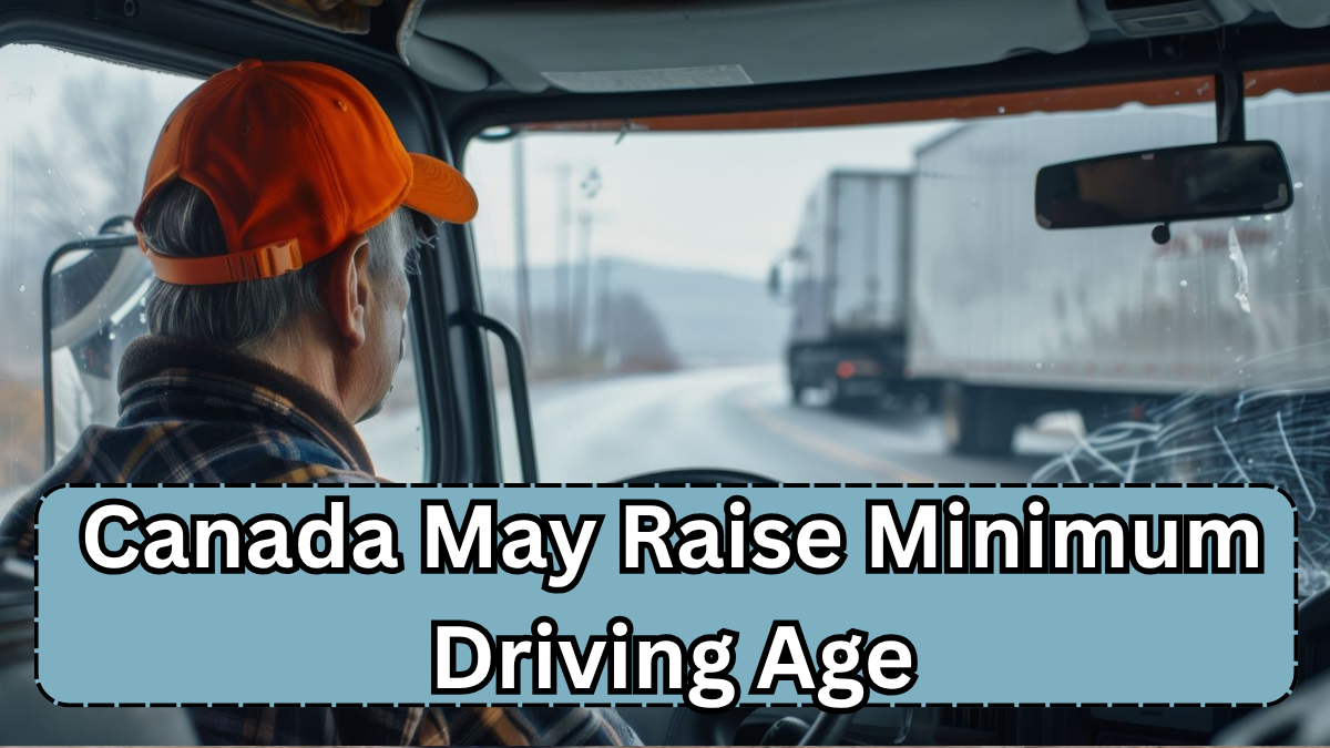 Canada May Raise Minimum Driving Age – New Proposal Stirs Debate