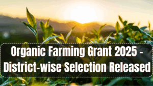 Organic Farming Grant 2025 – District-wise Selection Released